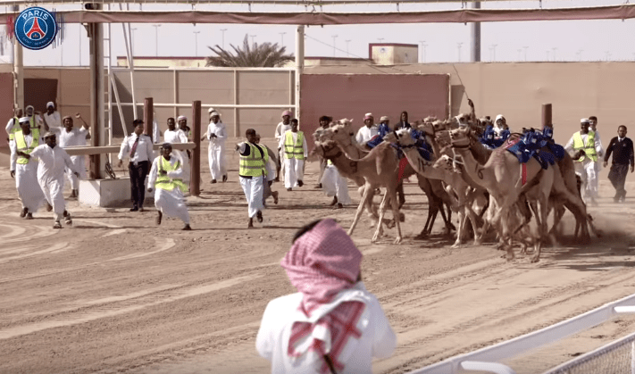 Jugadores del PSG participaron en una excéntrica carrera de camellos (YouTube)